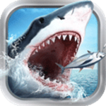 谷歌翻ip_谷歌翻ip看b站插件